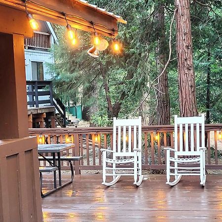 Sequoia Splendor, Inside Kings Canyon Np By Visitors Center Wilsonia Exterior photo